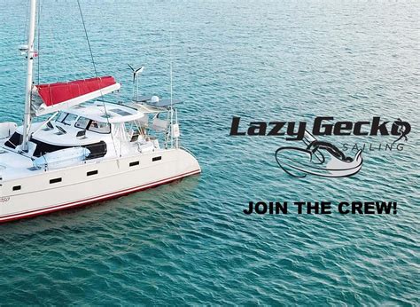 lazy gecko sailing|lazy gecko sailing milk.